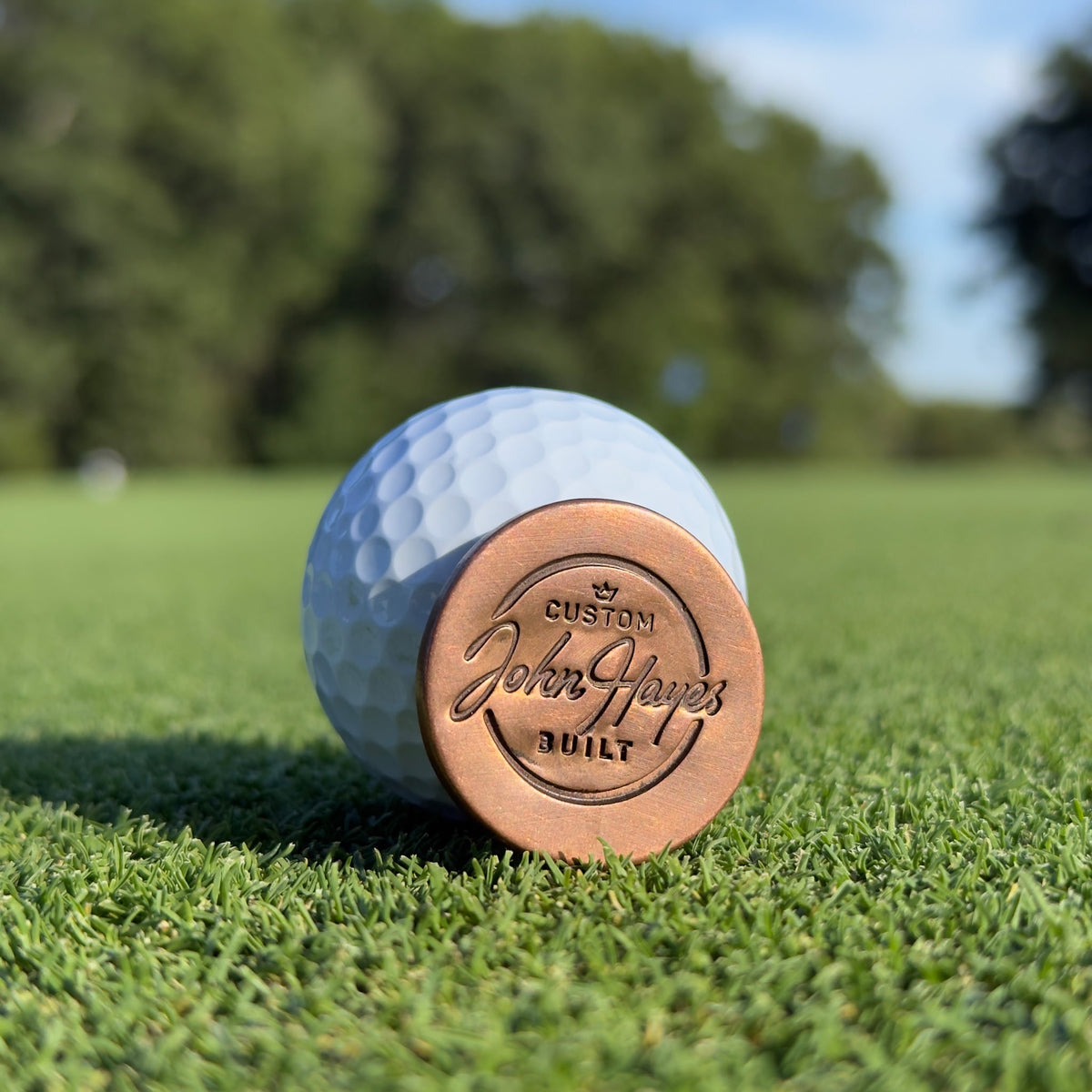 Oil Hardened Ball Markers